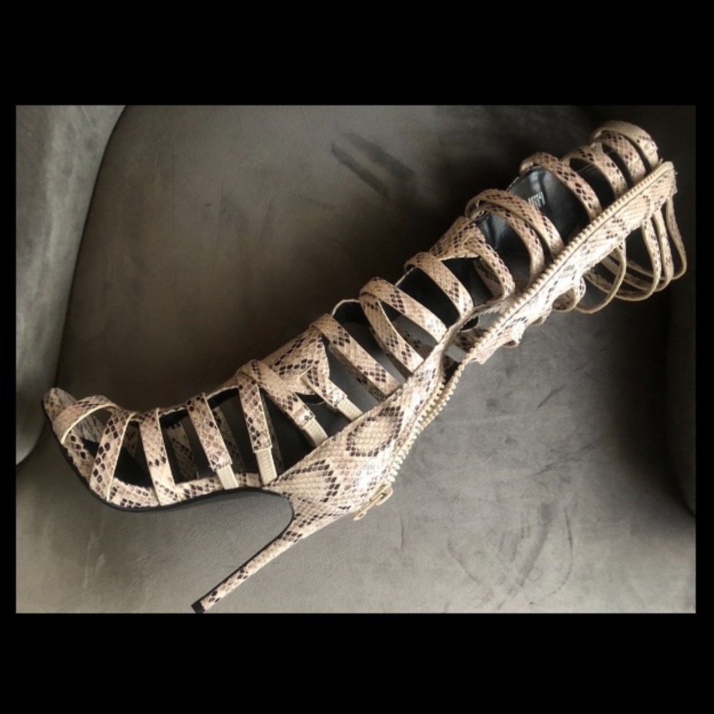 BRAND NEW Steve Madden snake skin boots